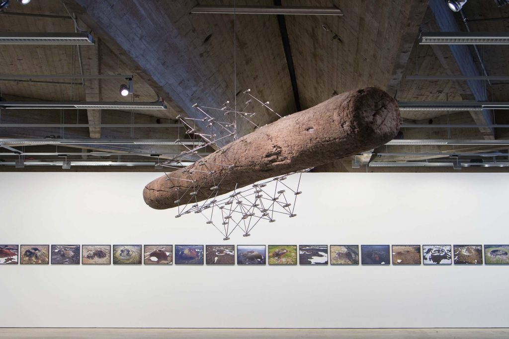 Olafur-Eliasson-Emma-Kuudes-9